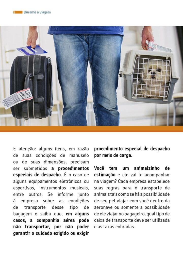 Publicao2 Anac Senacon V13 Page 0008 - GCS Viagens